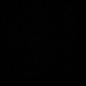 Meet your Posher, Ashanti